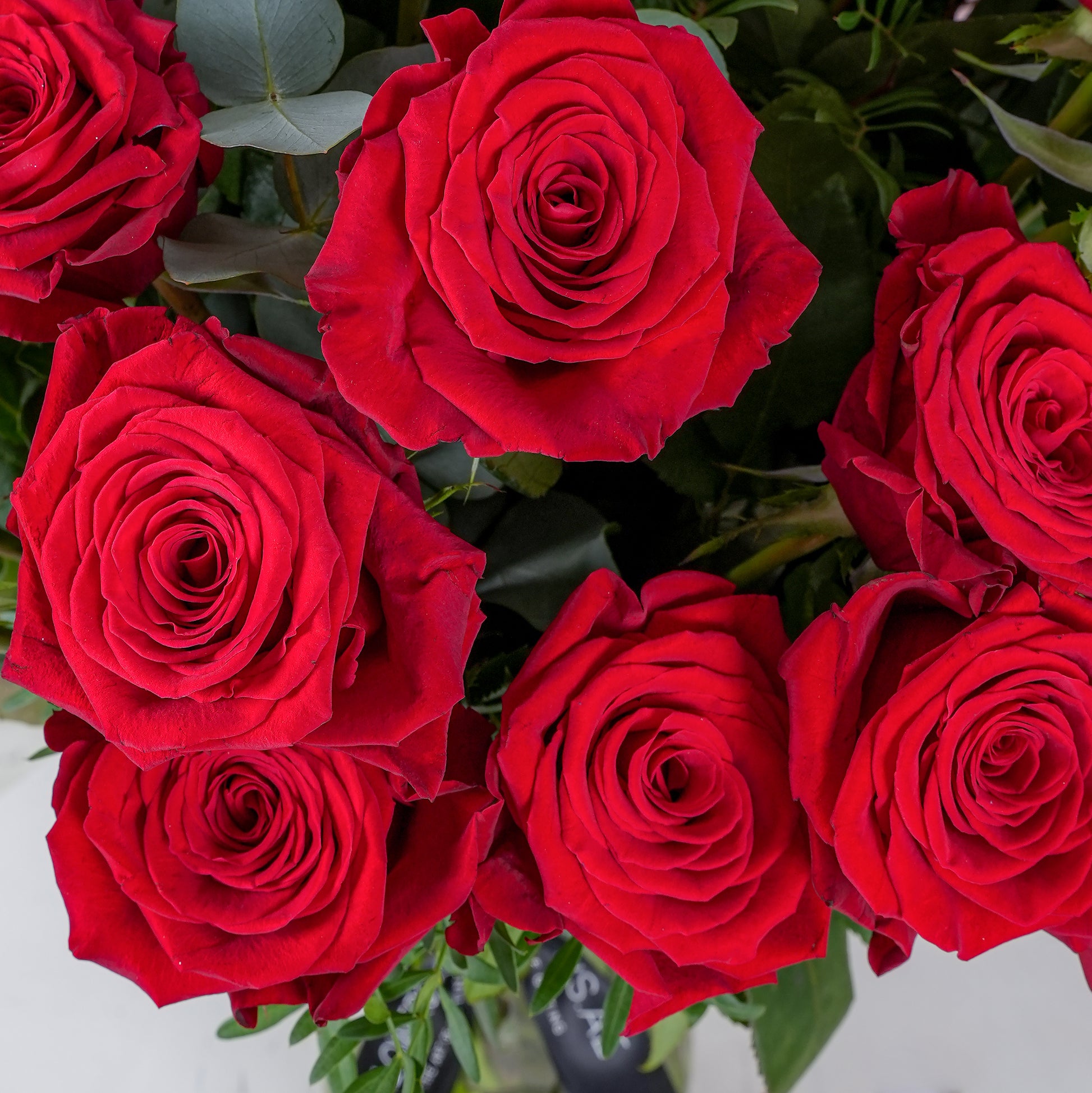 Close-up of 50 red roses in vase by Bloom Marbella with lush green leaves