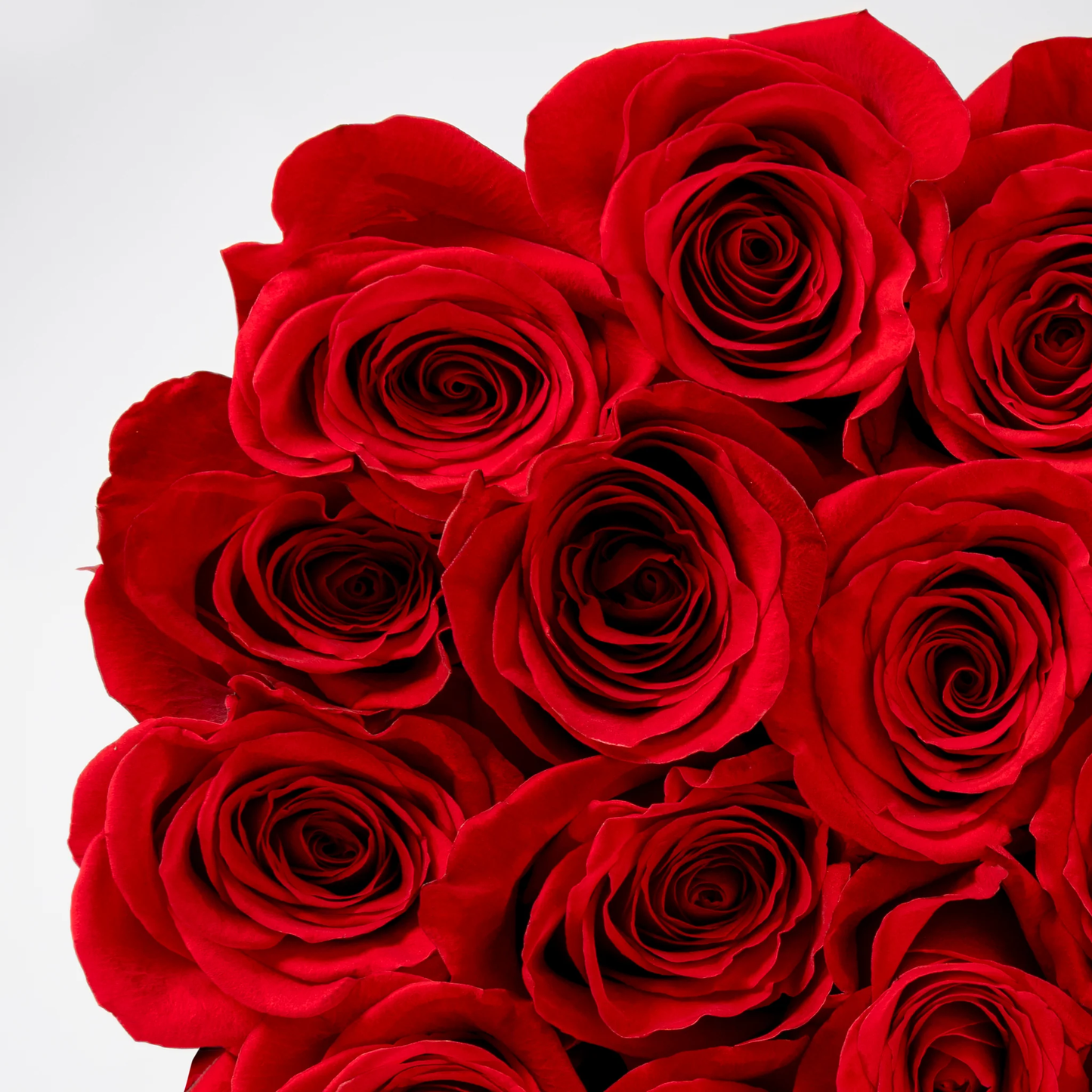 Close-up of vibrant red roses in a red roses hatbox Marbella by Bloom Marbella