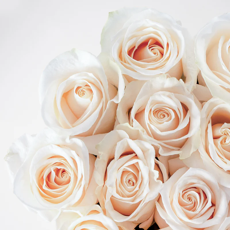 Close-up of elegant white roses for white roses hatbox delivery by Bloom Marbella