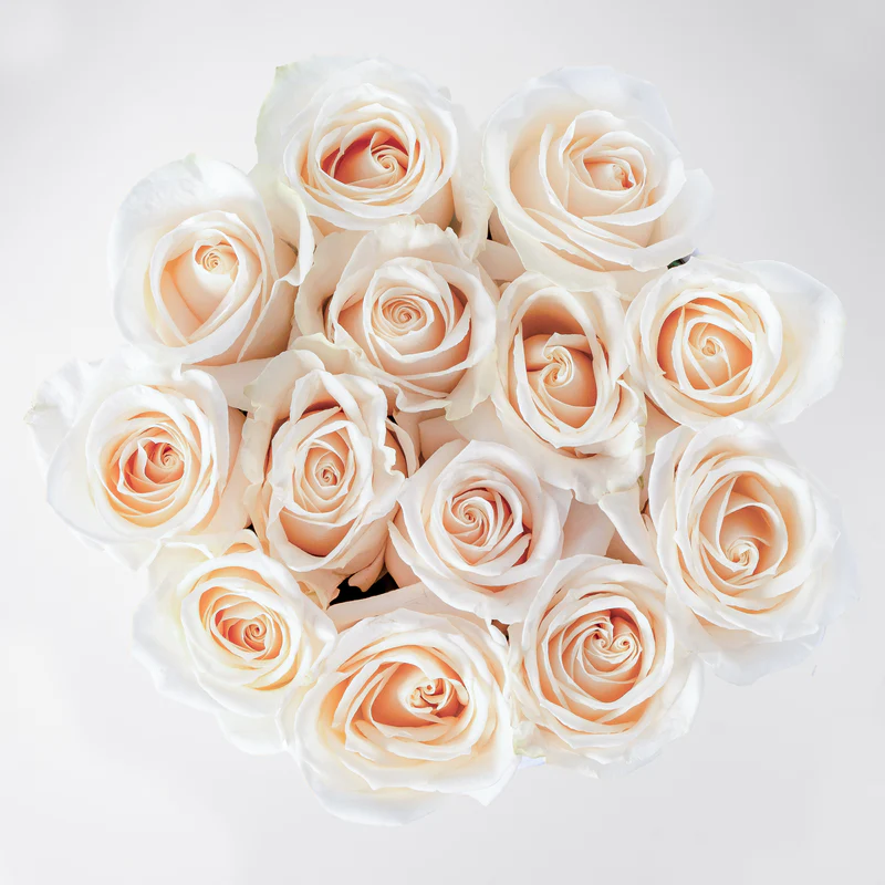Close-up top view of white roses hatbox delivery arranged in a round bouquet with soft petals